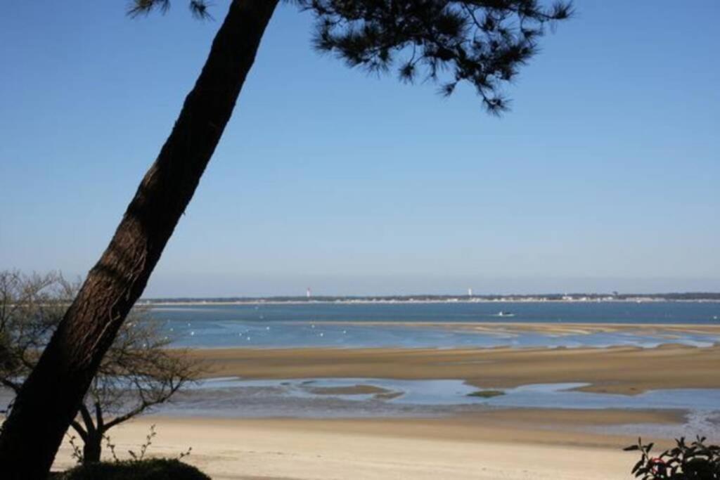 1er ligne pied dans l'eau plage option parking Arcachon Eksteriør billede